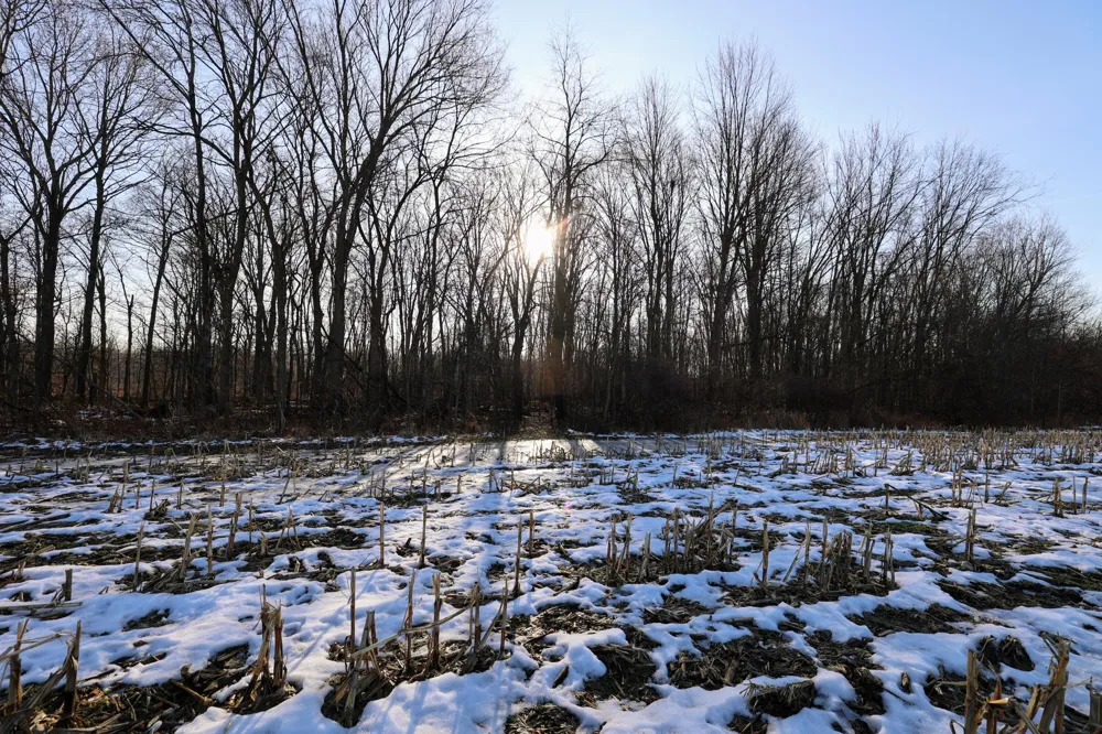 1767 Flanders Road Eaton Township, MI 48813