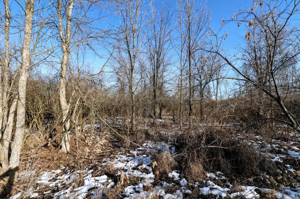 1767 Flanders Road Eaton Township, MI 48813