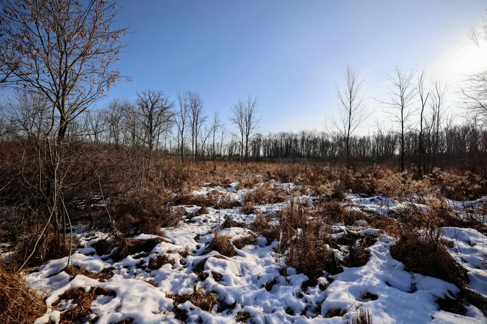 1767 Flanders Road Eaton Township, MI 48813