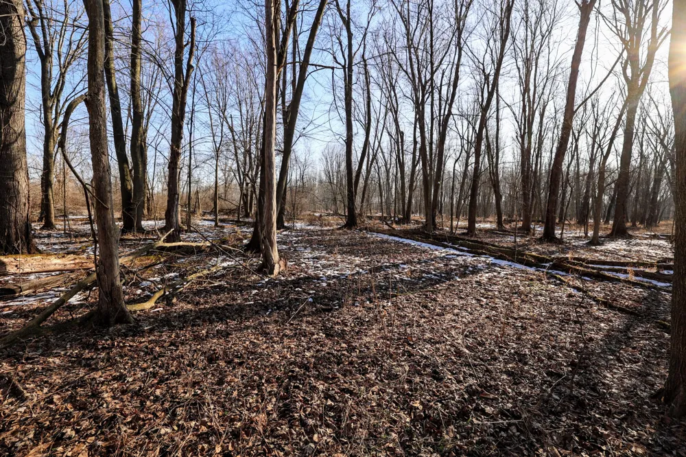 1767 Flanders Road Eaton Township, MI 48813
