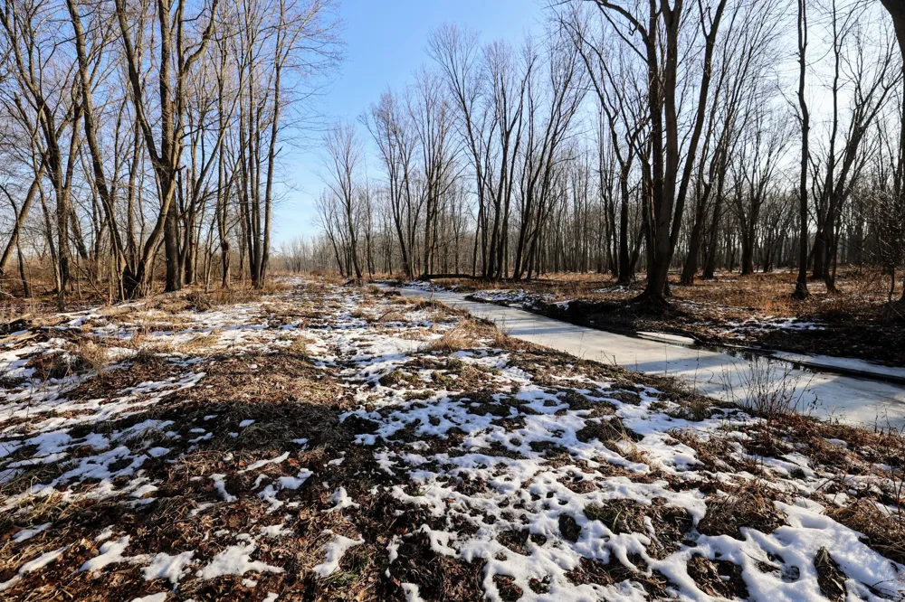 1767 Flanders Road Eaton Township, MI 48813