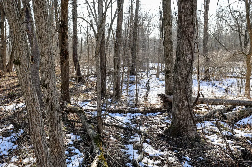 1767 Flanders Road Eaton Township, MI 48813