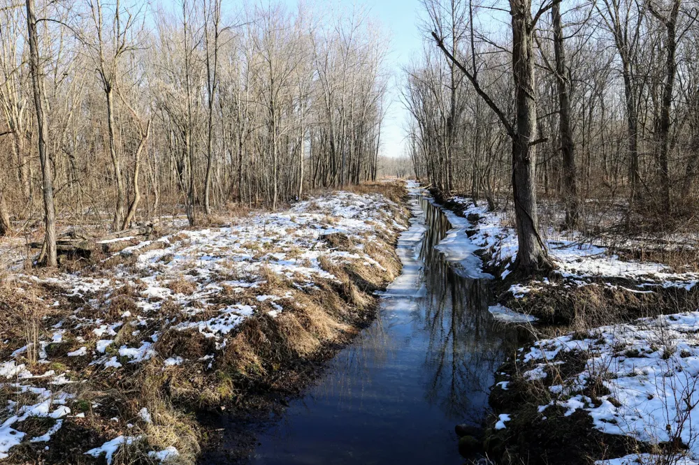 1767 Flanders Road Eaton Township, MI 48813