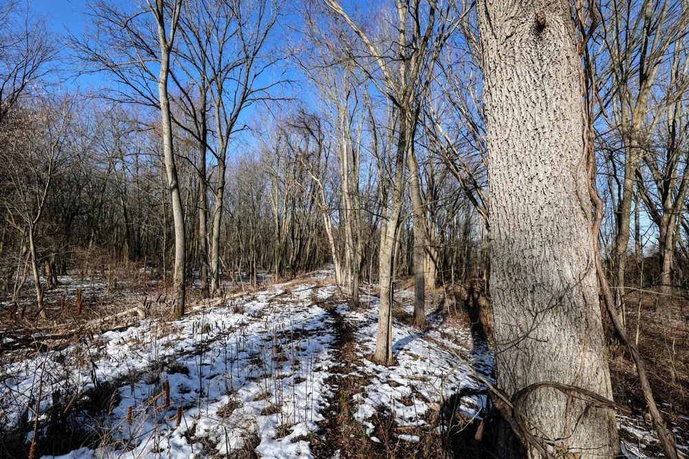 1767 Flanders Road Eaton Township, MI 48813