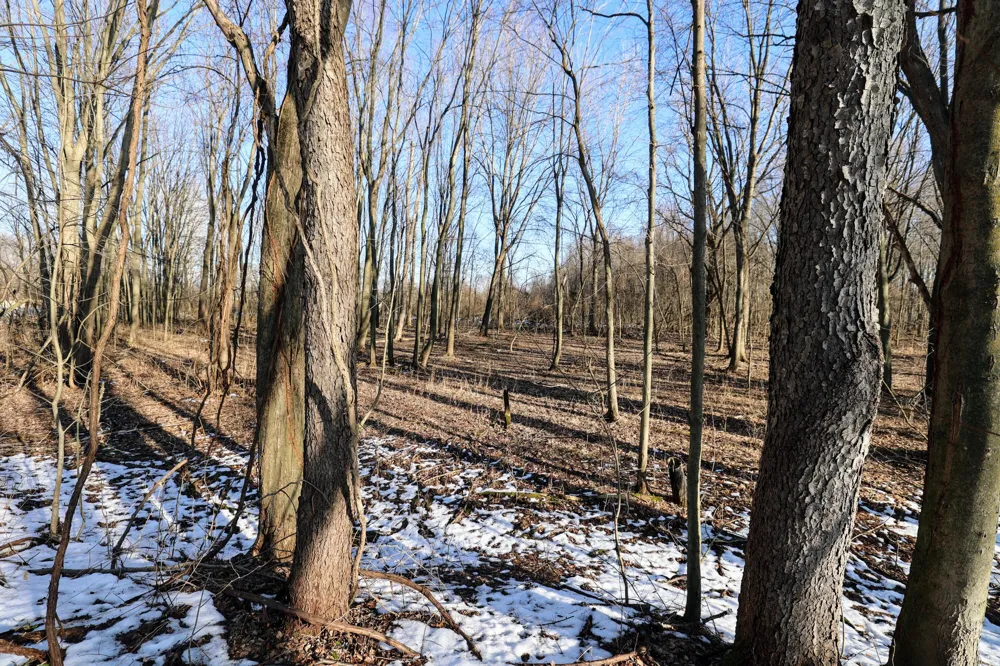1767 Flanders Road Eaton Township, MI 48813