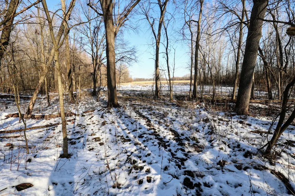 1767 Flanders Road Eaton Township, MI 48813