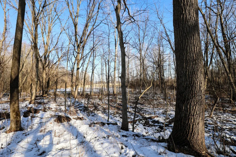 1767 Flanders Road Eaton Township, MI 48813