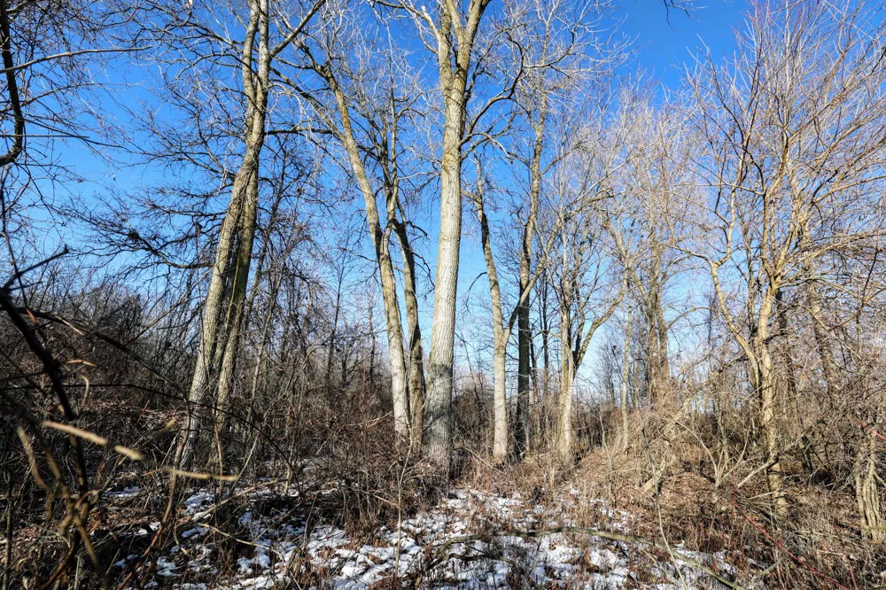 1767 Flanders Road Eaton Township, MI 48813