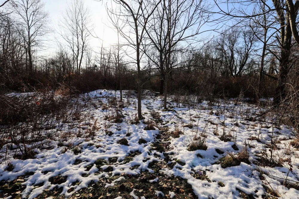 1767 Flanders Road Eaton Township, MI 48813