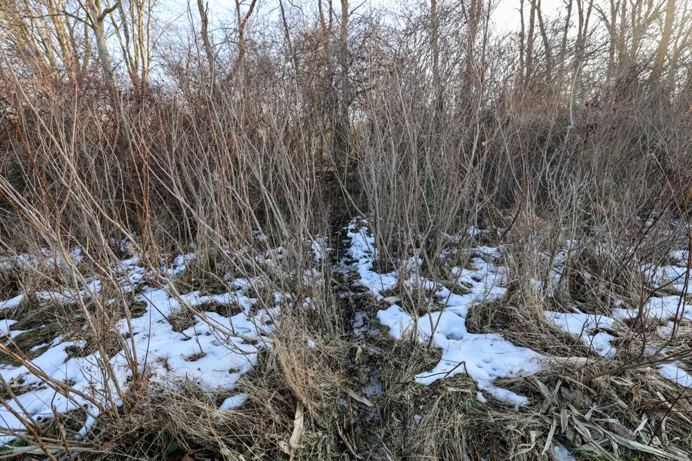 1767 Flanders Road Eaton Township, MI 48813