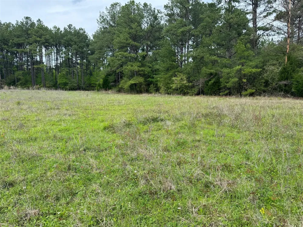 10586 Holland Road Kountze, TX 77625
