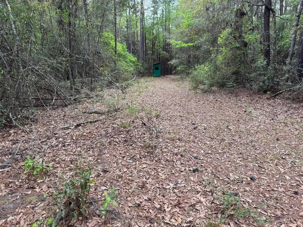 10586 Holland Road Kountze, TX 77625
