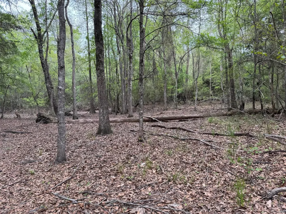 10586 Holland Road Kountze, TX 77625
