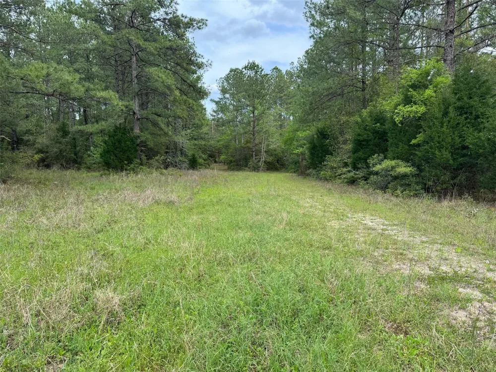 10586 Holland Road Kountze, TX 77625