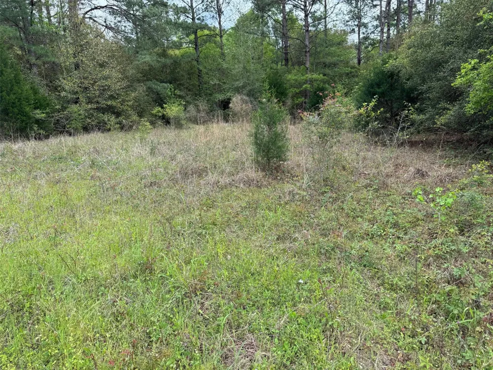 10586 Holland Road Kountze, TX 77625