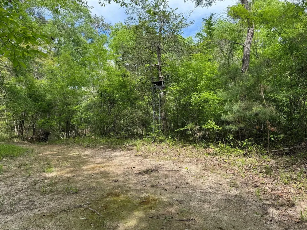 10586 Holland Road Kountze, TX 77625