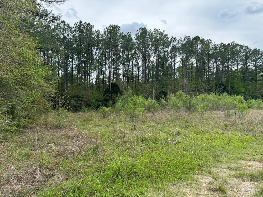 10586 Holland Road Kountze, TX 77625
