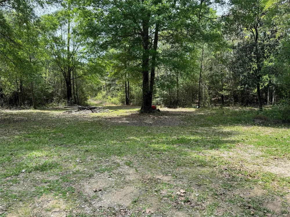 10586 Holland Road Kountze, TX 77625