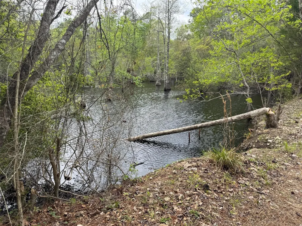 10586 Holland Road Kountze, TX 77625