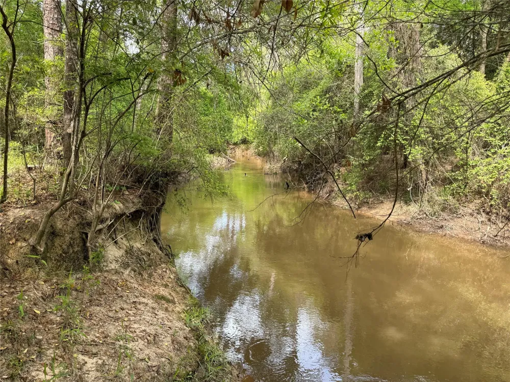 10586 Holland Road Kountze, TX 77625