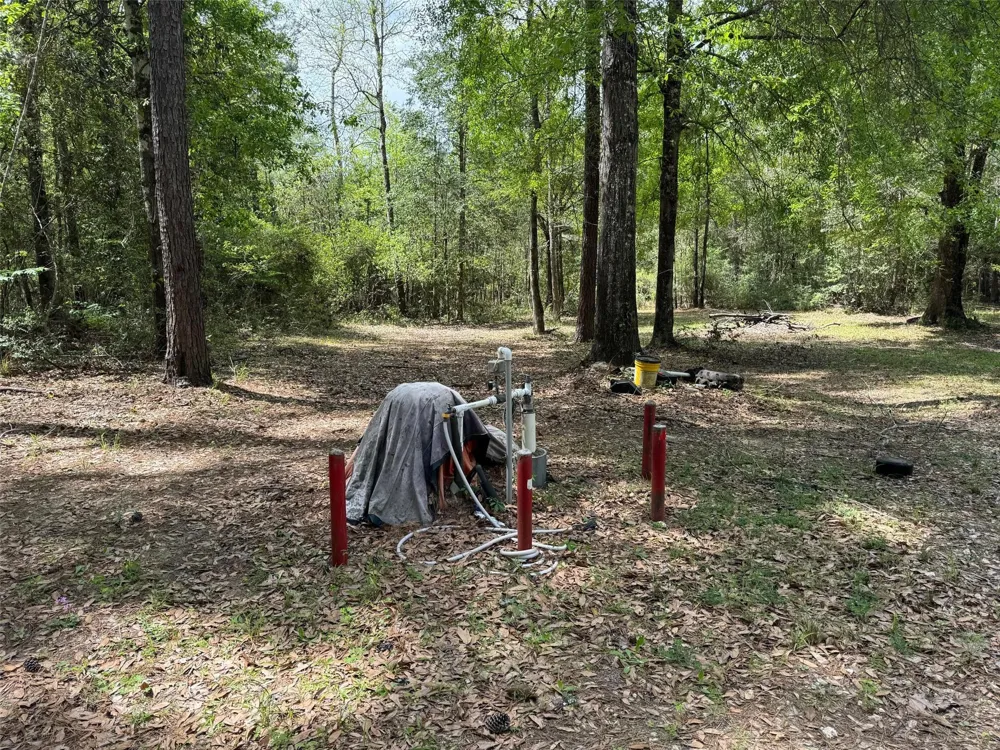 10586 Holland Road Kountze, TX 77625