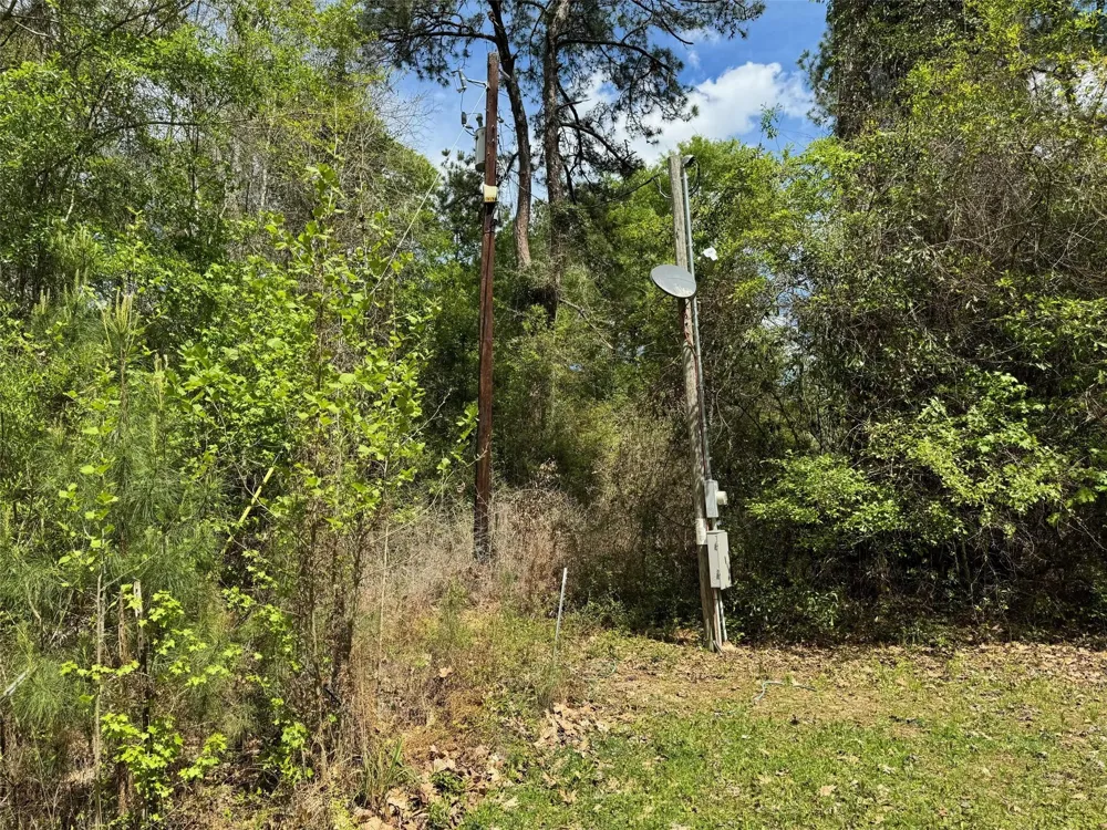 10586 Holland Road Kountze, TX 77625