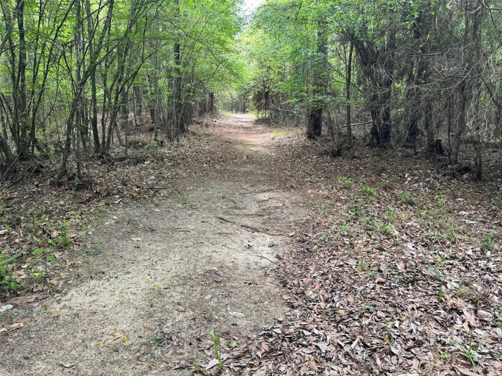 10586 Holland Road Kountze, TX 77625
