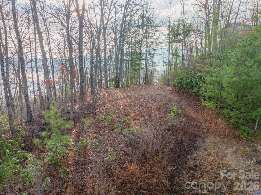 0000 Tsali Crossing #25 Bryson City, NC 28713