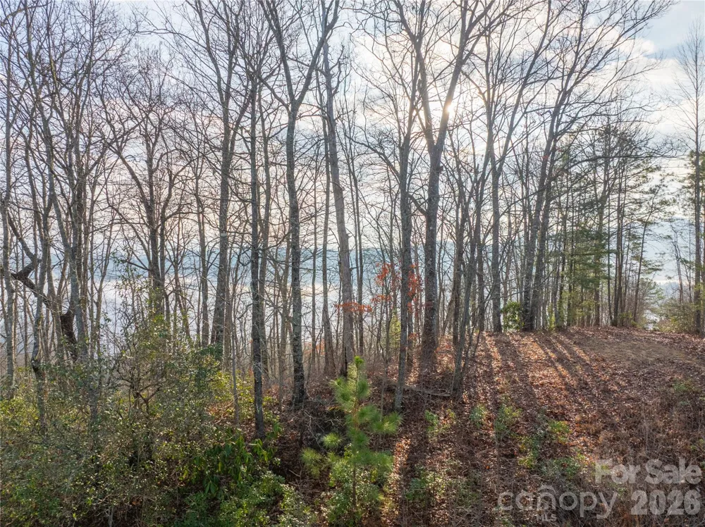 0000 Tsali Crossing #25 Bryson City, NC 28713