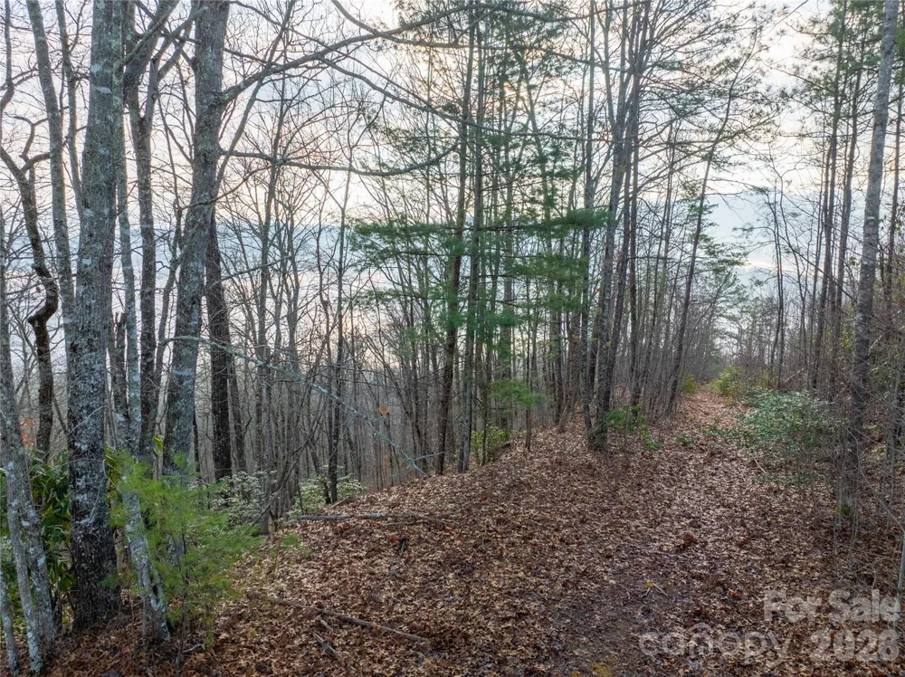 0000 Tsali Crossing #25 Bryson City, NC 28713