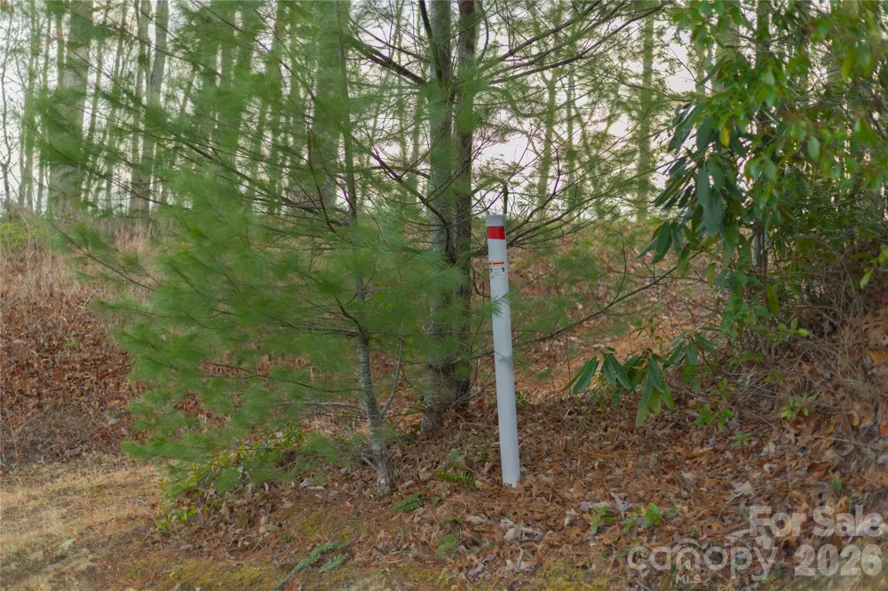0000 Tsali Crossing #25 Bryson City, NC 28713