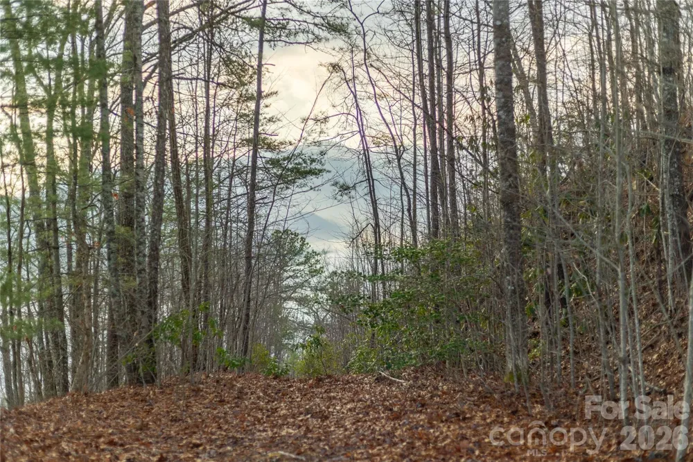 0000 Tsali Crossing #25 Bryson City, NC 28713