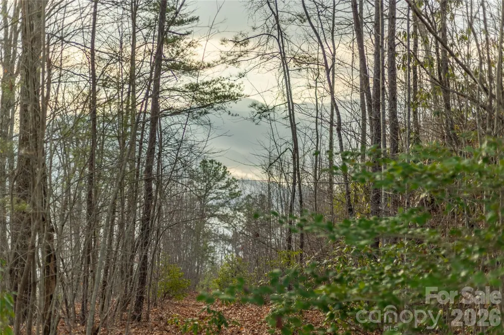 0000 Tsali Crossing #25 Bryson City, NC 28713