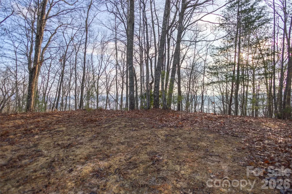 0000 Tsali Crossing #25 Bryson City, NC 28713