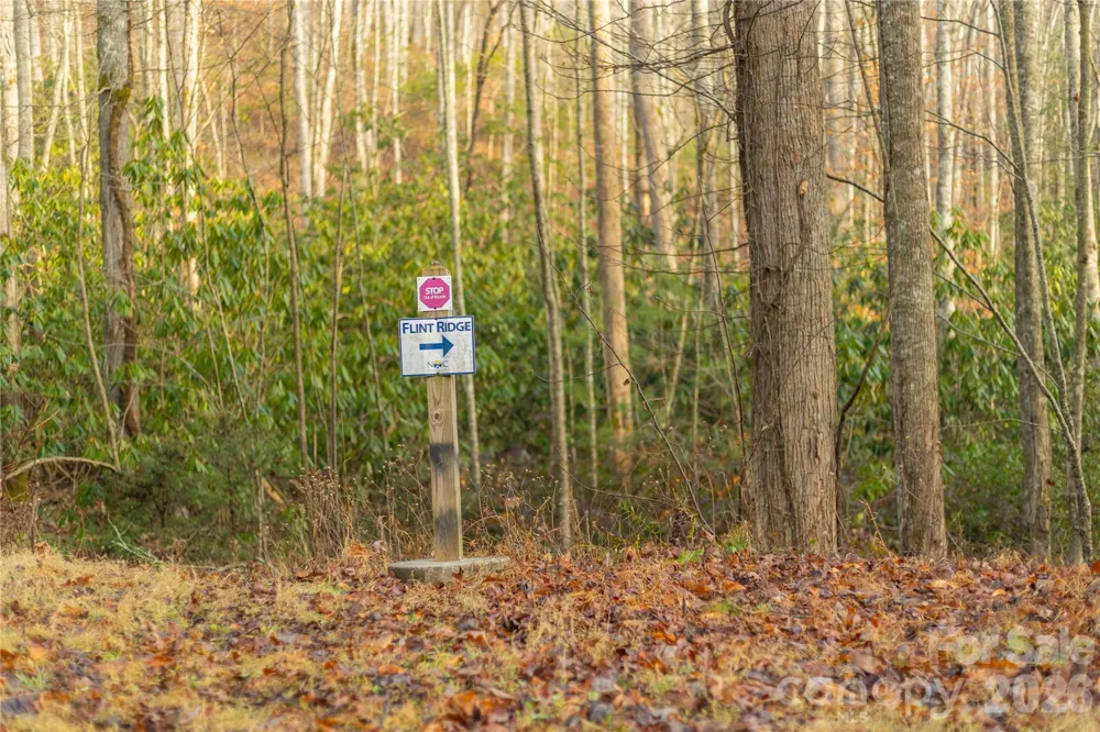 0000 Tsali Crossing #25 Bryson City, NC 28713