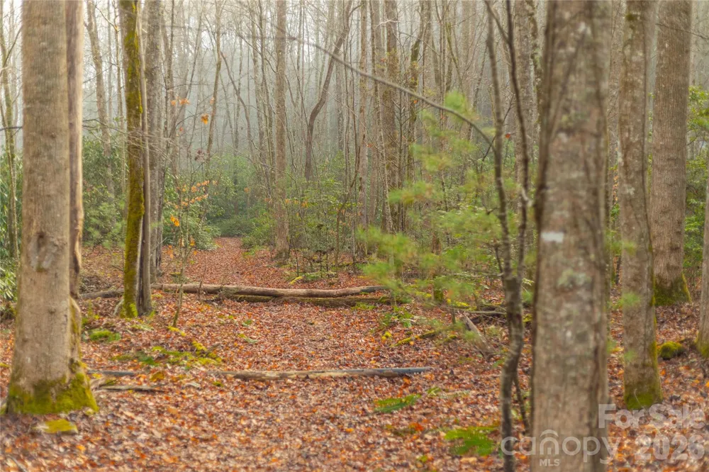 0000 Tsali Crossing #25 Bryson City, NC 28713