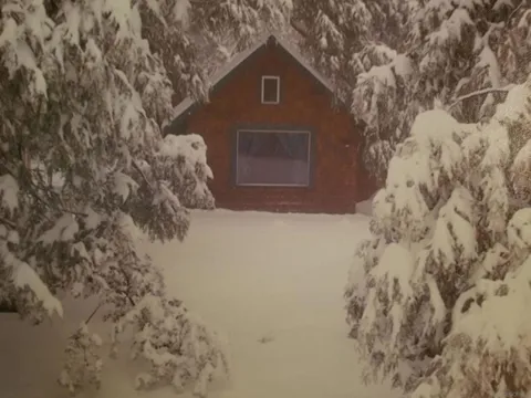 Address Not Shown