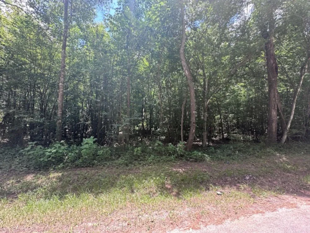 Fm-2090 Splendora, TX 77372