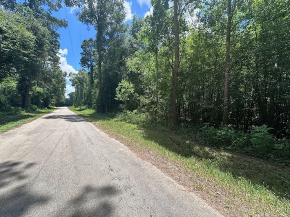 Fm-2090 Splendora, TX 77372