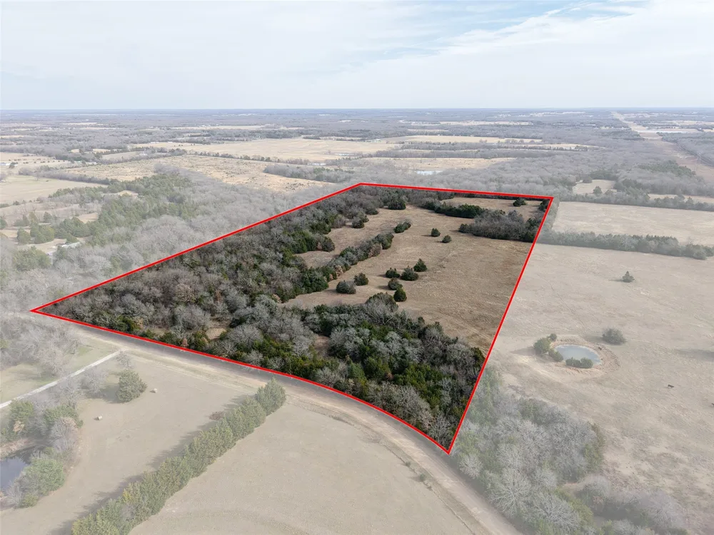 County Road 1255 Savoy, TX 75479