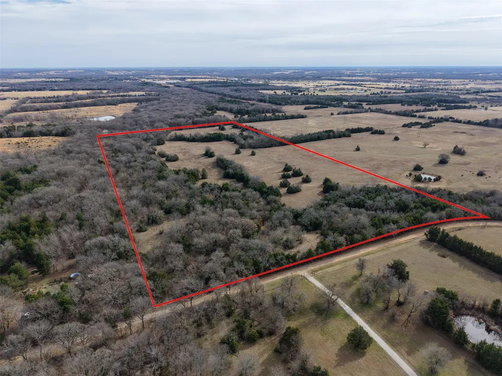 County Road 1255 Savoy, TX 75479