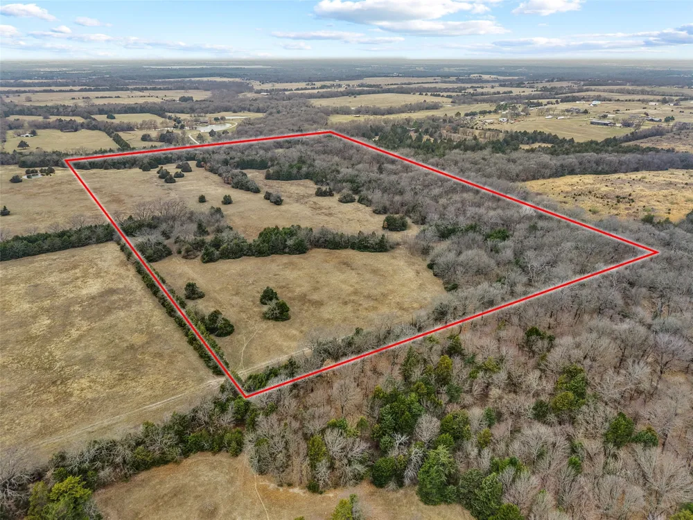 County Road 1255 Savoy, TX 75479