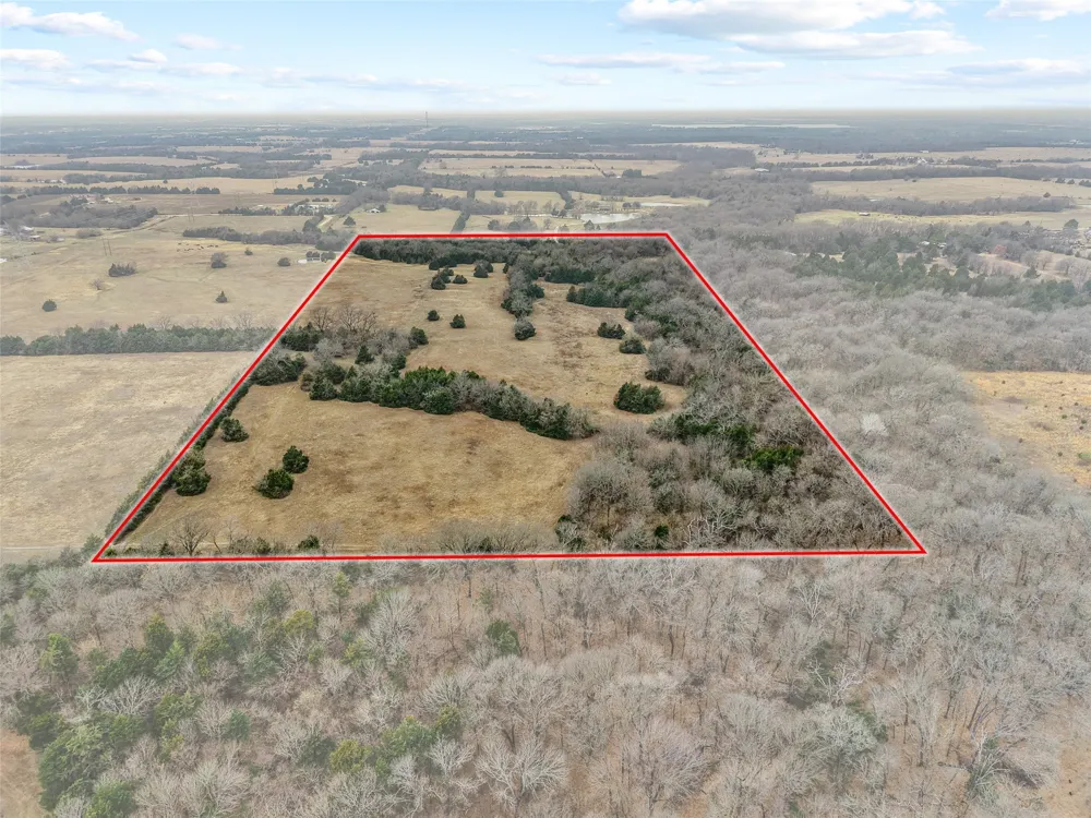 County Road 1255 Savoy, TX 75479