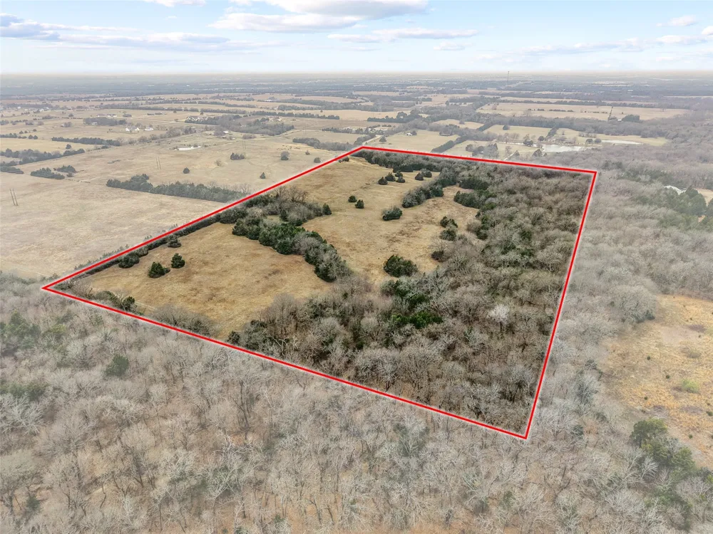County Road 1255 Savoy, TX 75479