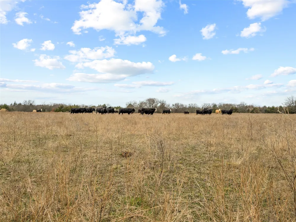 County Road 1255 Savoy, TX 75479