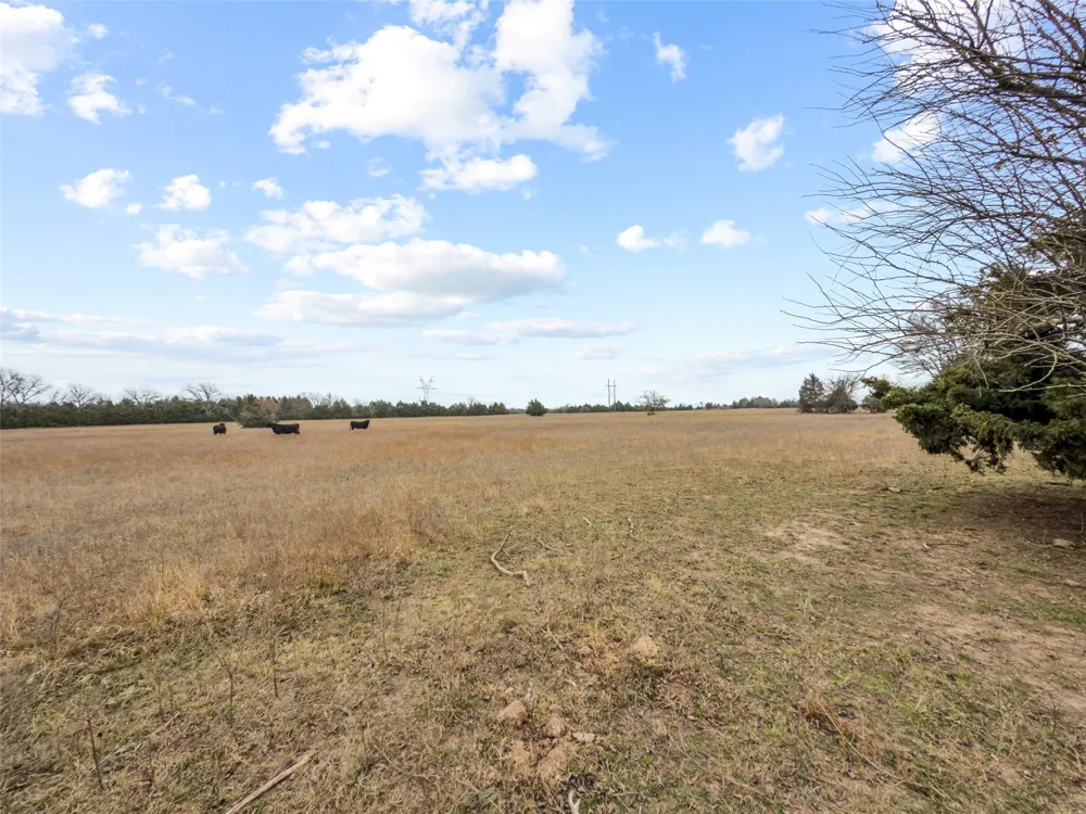 County Road 1255 Savoy, TX 75479