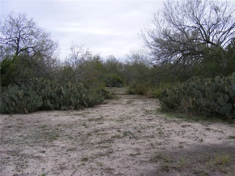10722 County Road 249 Mathis, TX 78368