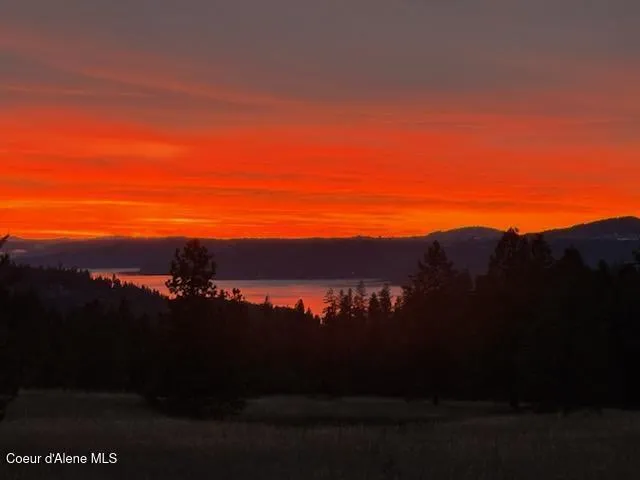 2953 E Badger Road Harrison, ID 83833