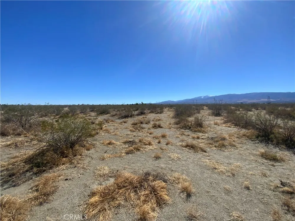 2975 Yucca Terrace Pinon Hills, CA 92372
