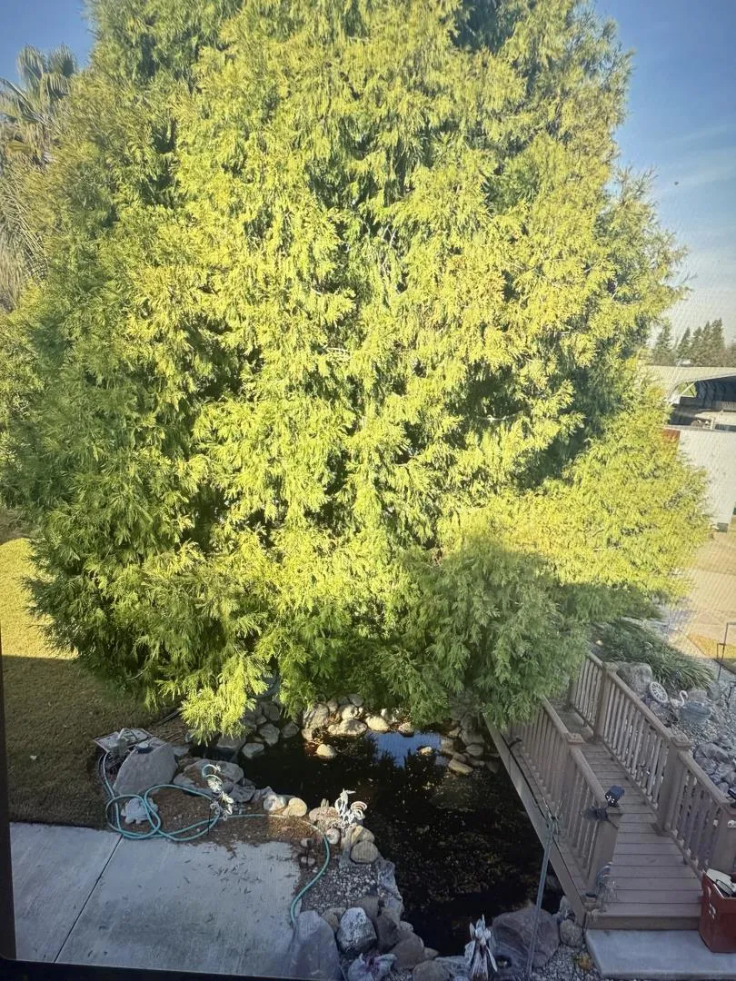 Address Not Shown Atwater, CA 95301